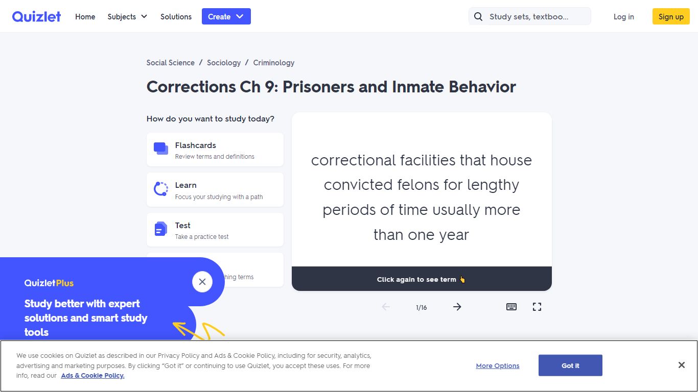 Corrections Ch 9: Prisoners and Inmate Behavior Flashcards ...